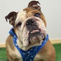 Thumbnail photo of Burrito #3