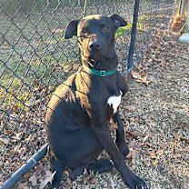 Thumbnail photo of Jack #4