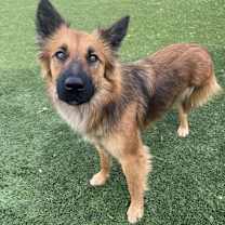 Thumbnail photo of Gumdrop #1