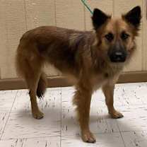 Thumbnail photo of Gumdrop #2