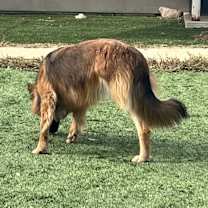 Thumbnail photo of Gumdrop #3