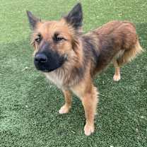 Thumbnail photo of Gumdrop #4