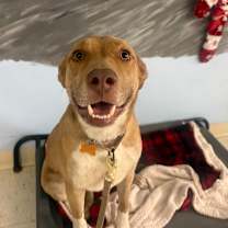 Thumbnail photo of Fizzy #3