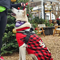 Thumbnail photo of Simi #2