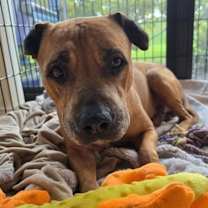 Thumbnail photo of Chance #2