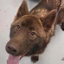 Thumbnail photo of Ron #3