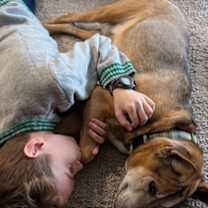 Thumbnail photo of Sandler (In Foster) #3