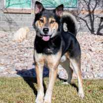 Thumbnail photo of 91766 Alpha #1