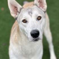 Thumbnail photo of Nairobi #2