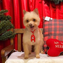 Thumbnail photo of Mocha #2