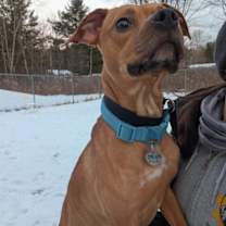 Thumbnail photo of Keith #1