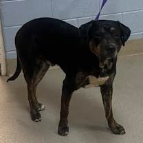 Thumbnail photo of 12/19/25 #3