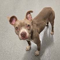 Thumbnail photo of Hazel #3