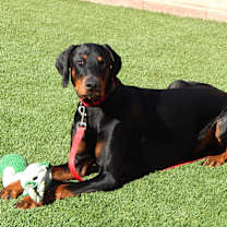 Thumbnail photo of Storm #1