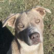 Thumbnail photo of Cypress #1