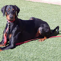 Thumbnail photo of Storm #3