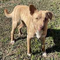 Thumbnail photo of Wylie #2