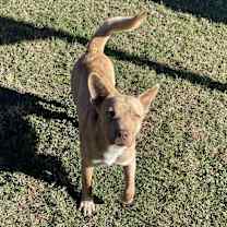 Thumbnail photo of Wylie #4