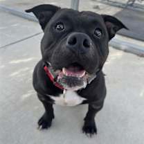 Thumbnail photo of IDK #1