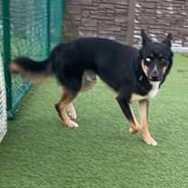 Thumbnail photo of Vogue #3