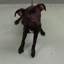 Thumbnail photo of Wiggles #1