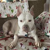 Thumbnail photo of Jack #3