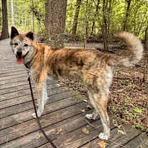 Thumbnail photo of Ulsan #1