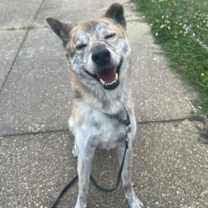 Thumbnail photo of Ulsan #3