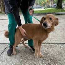 Thumbnail photo of Tanner #3