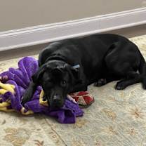 Thumbnail photo of Tucker #2