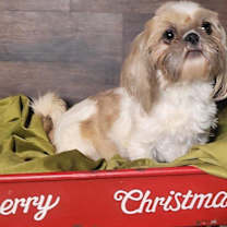 Thumbnail photo of CECILY in RHODE ISLAND #3