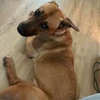 Thumbnail photo of Sienna #3