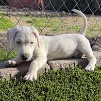 Thumbnail photo of Nina #1