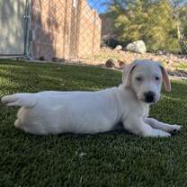 Thumbnail photo of Nina #2