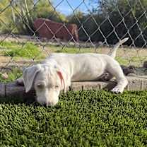 Thumbnail photo of Nina #3