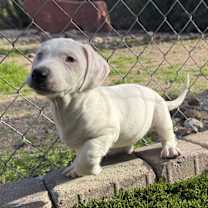 Thumbnail photo of Nina #4