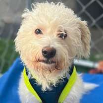 Thumbnail photo of Esher #1