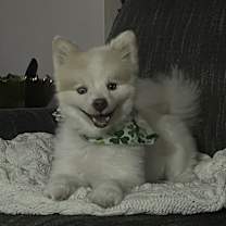 Thumbnail photo of Jax #4