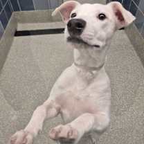 Thumbnail photo of Whitney #1