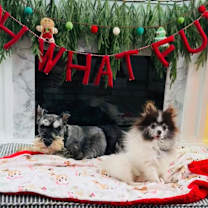 Thumbnail photo of Doc #2