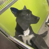 Thumbnail photo of Junior #2