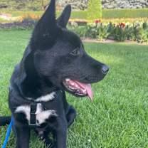 Thumbnail photo of Junior #3