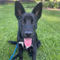 Thumbnail photo of Junior #4