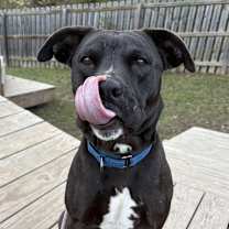 Thumbnail photo of Pete #2