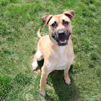 Thumbnail photo of Bruno #1