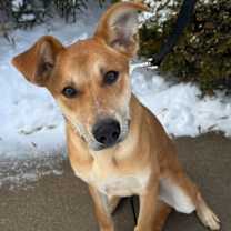 Thumbnail photo of Briggs #1