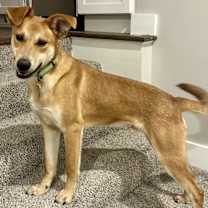 Thumbnail photo of Briggs #2