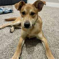 Thumbnail photo of Briggs #3