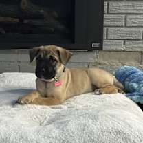 Thumbnail photo of Winni #2