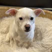 Thumbnail photo of Edith #1